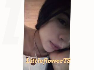 LittleflowerTS