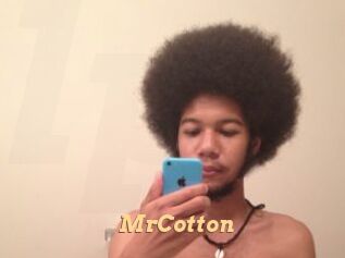 MrCotton