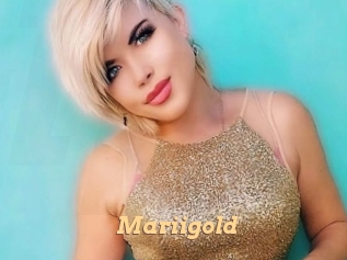 Mariigold