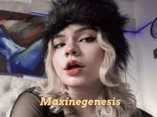 Maxinegenesis