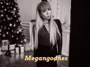 Megangodnes