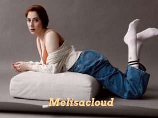 Melisacloud