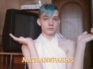 NATHAN_SPARKS