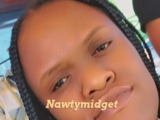 Nawtymidget