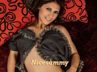 Nicesammy