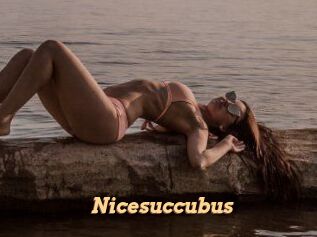 Nicesuccubus