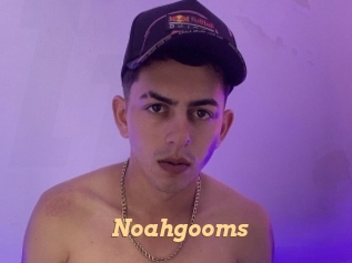 Noahgooms