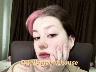 Odellagreenhouse