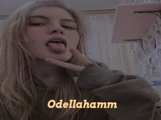 Odellahamm