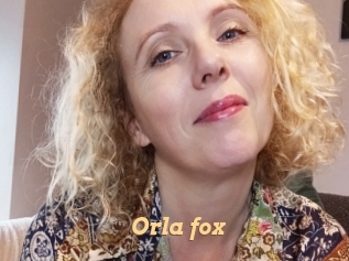 Orla_fox