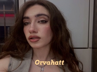 Orvahatt