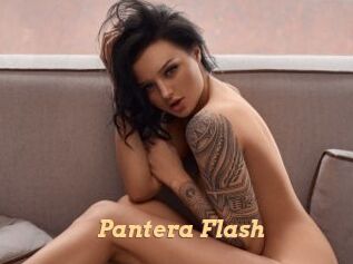 Pantera_Flash