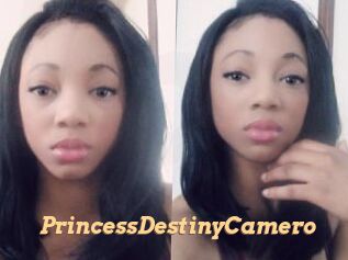 PrincessDestinyCamero