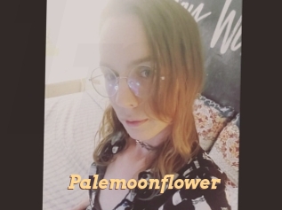 Palemoonflower