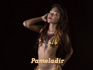 Pameladir