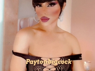 Paytonbigcock