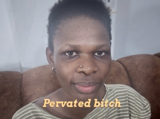 Pervated_bitch