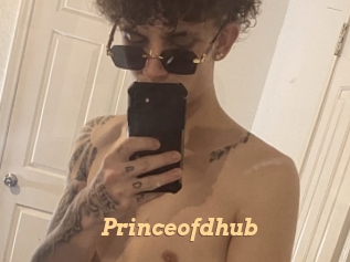 Princeofdhub