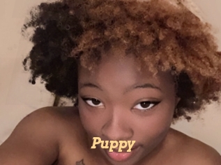 Puppy