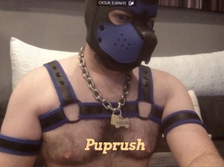 Puprush