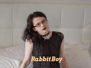 RabbitBoy