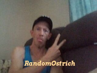 RandomOstrich