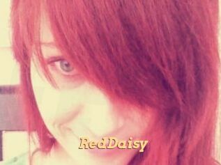 RedDaisy