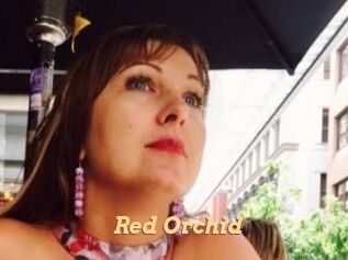 Red_Orchid