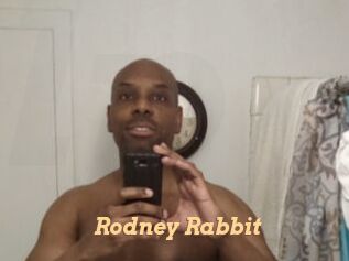 Rodney_Rabbit