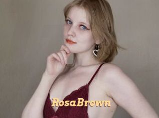 RosaBrown