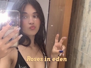 Roses_in_eden