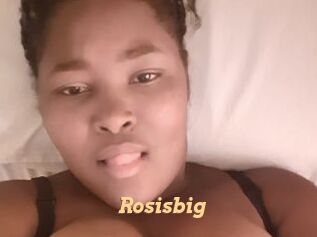 Rosisbig