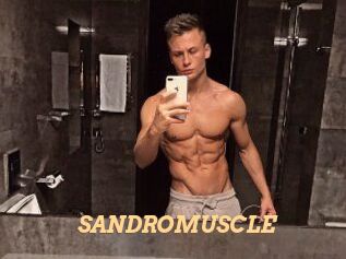 SANDRO_MUSCLE