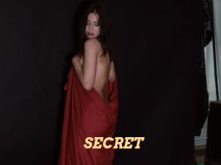 SECRET Live Paradise