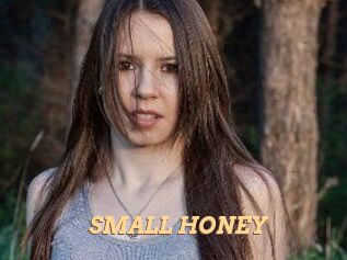 SMALL_HONEY