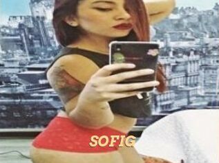 SOFI_G