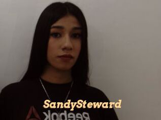 SandySteward