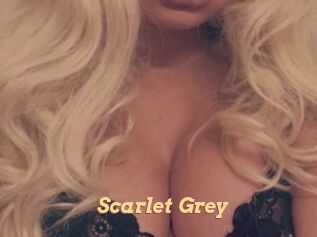 Scarlet_Grey