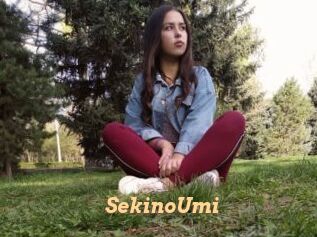 SekinoUmi