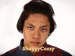 ShaggyCozzy