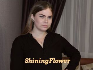 ShiningFlower