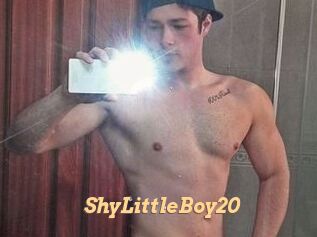 ShyLittleBoy20