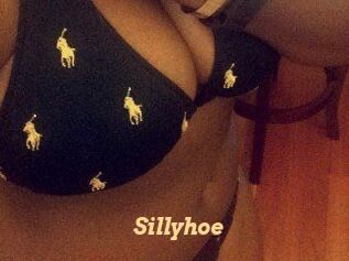 Sillyhoe