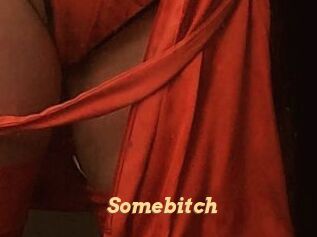 Somebitch