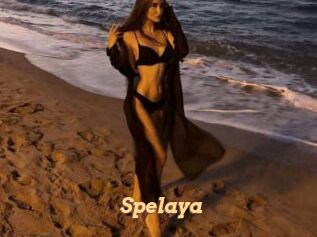Spelaya