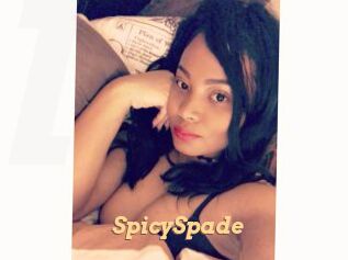 SpicySpade