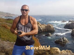 Steve_Wild