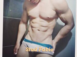 Stud_Fabio