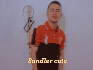 Sandler_cute