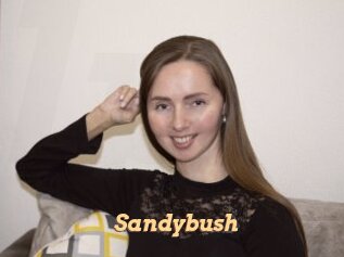 Sandybush